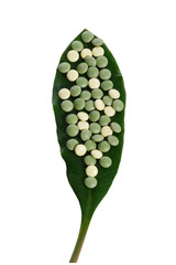 What is the cost of viagra at walmart?