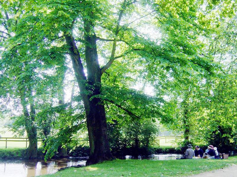 The Tim Harris Oxford Gallery 0023